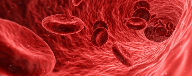 The Color of Blood: Red Blood Cells